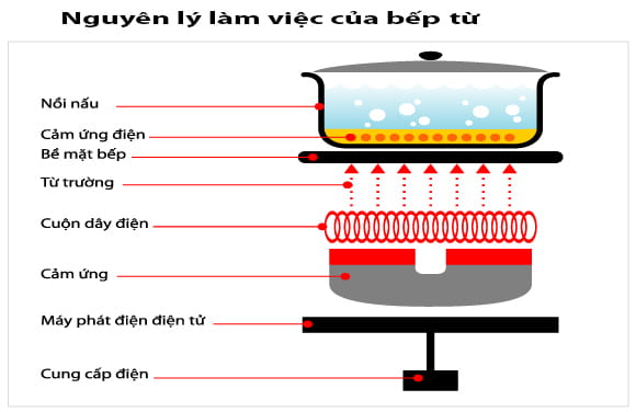 Ảnh nguyên lý hoạt động của bếp từ nhập khẩu