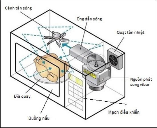 Những bộ phận cơ bản của lò vi sóng