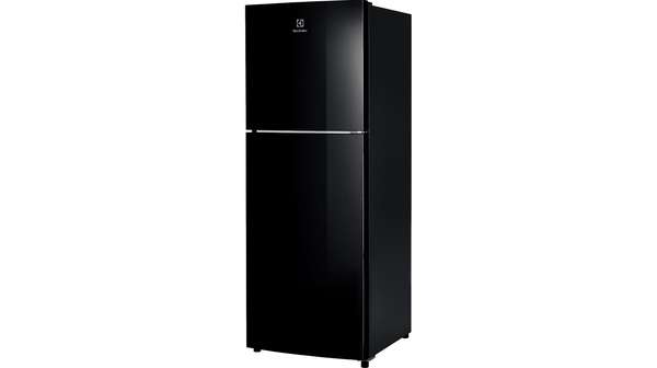 Tủ lạnh Electrolux ETB2502J-H